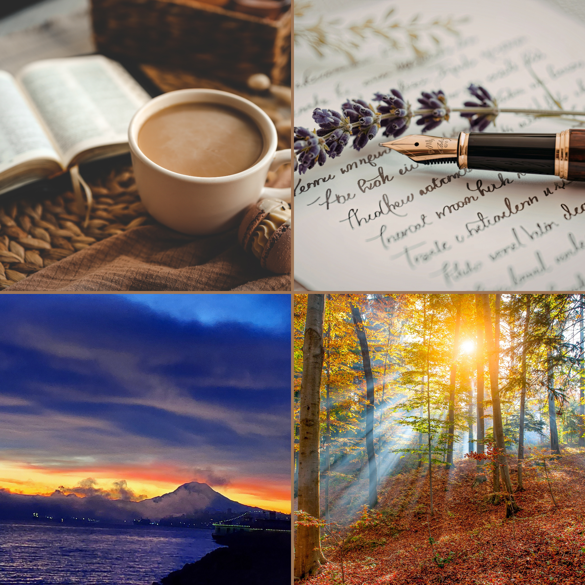 Untitled design (17)